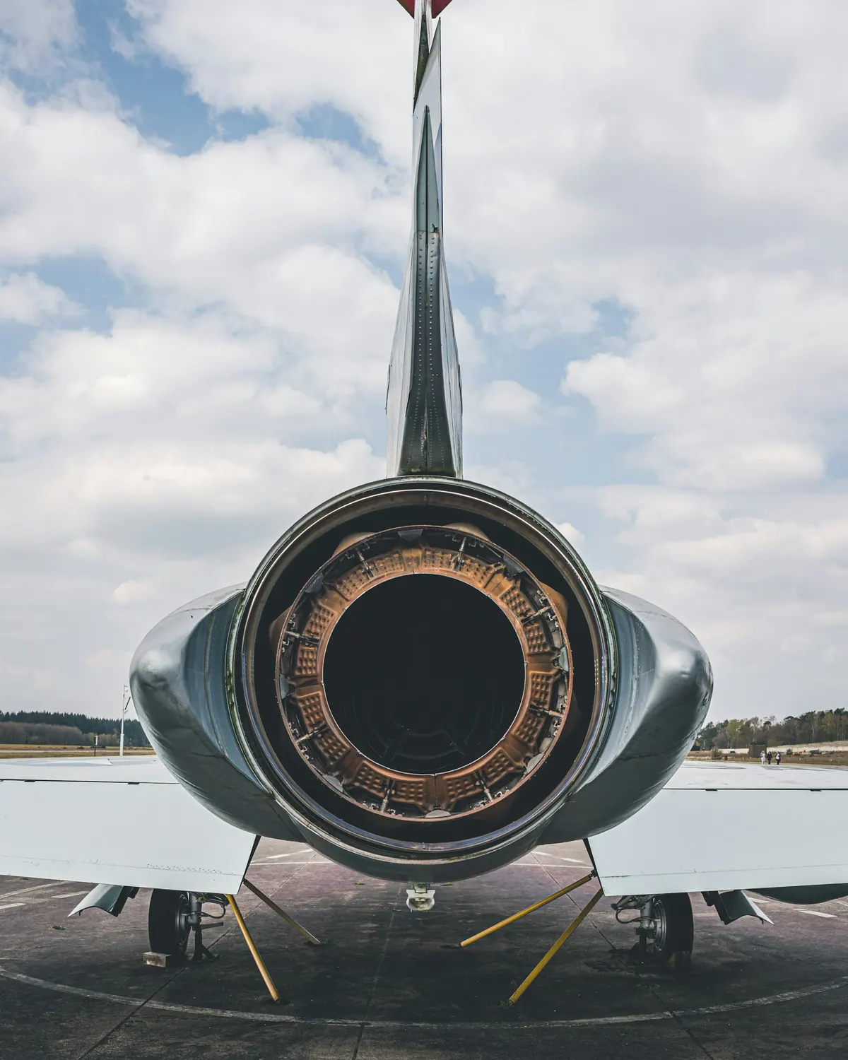 Rear engine and tail of a business jet